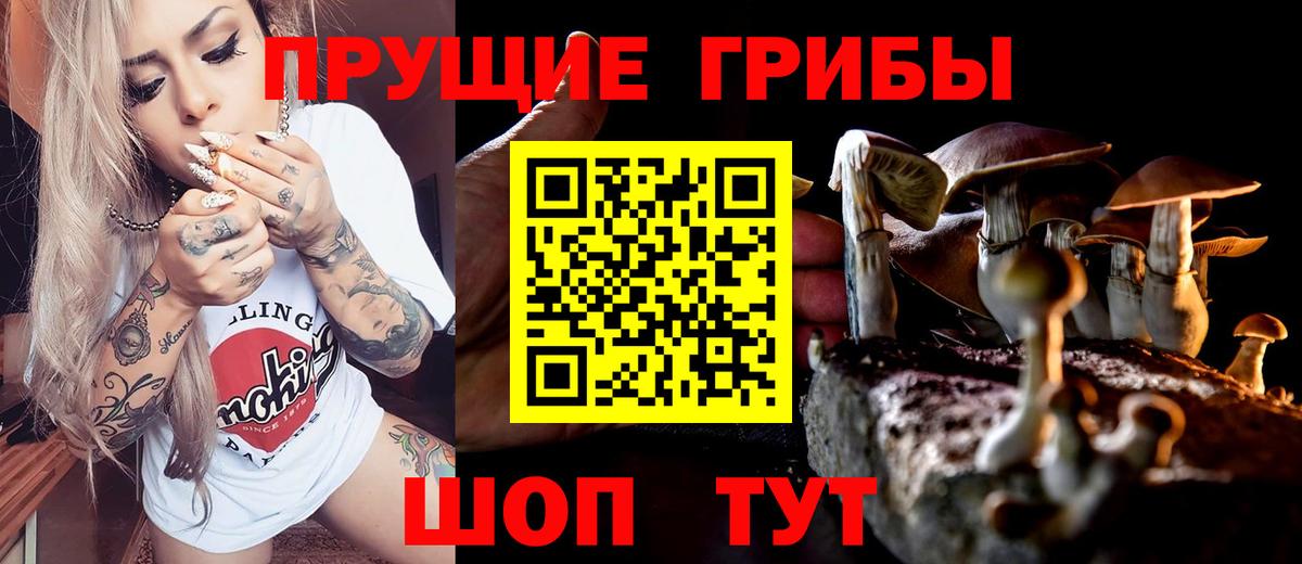 Балабаново  Галлюциногенные грибы MAGIC MUSHROOMS  Вход с VPN 