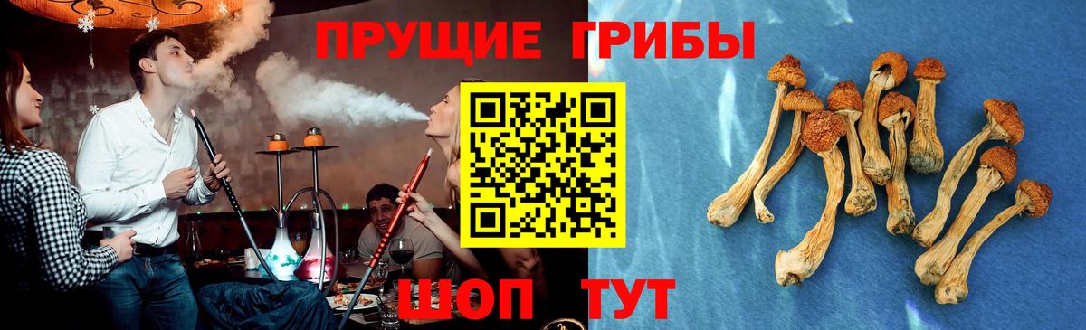 Галлюциногенные грибы ЛСД Балабаново